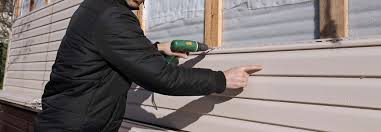 Best Vinyl Siding Installation  in Wyldwood, TX